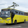 Tacirua Transport Co Ltd