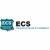 Electronic Control Systems Fiji